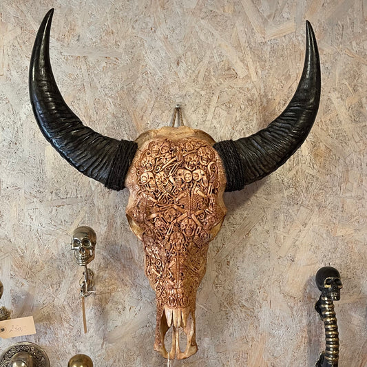 Buffalo håndskåret kranie, den ægte (B63x H79)